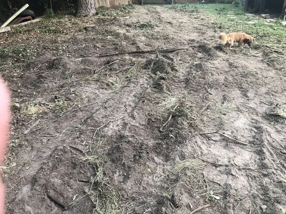 Trusted landscape installation in North Augusta, SC by Good Samaritan Services