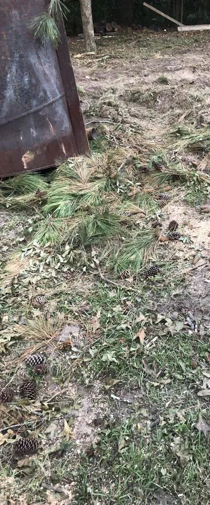 Local yard maintenance for beautiful yards across North Augusta, SC - Good Samaritan Services