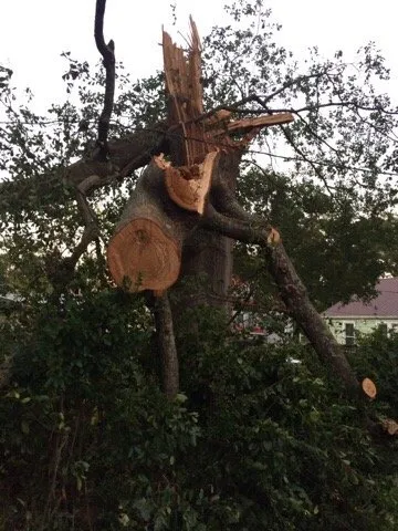 Reliable landscaping services experts serving North Augusta, SC - Good Samaritan Services