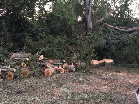 Professional outdoor landscaping experts serving North Augusta, SC - Good Samaritan Services