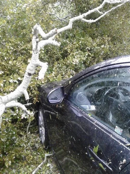 Top-rated landscape design experts serving North Augusta, SC - Good Samaritan Services