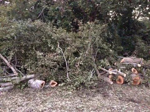 Top-rated residential landscaping in North Augusta, SC by Good Samaritan Services