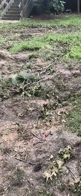 Good Samaritan Services Logo