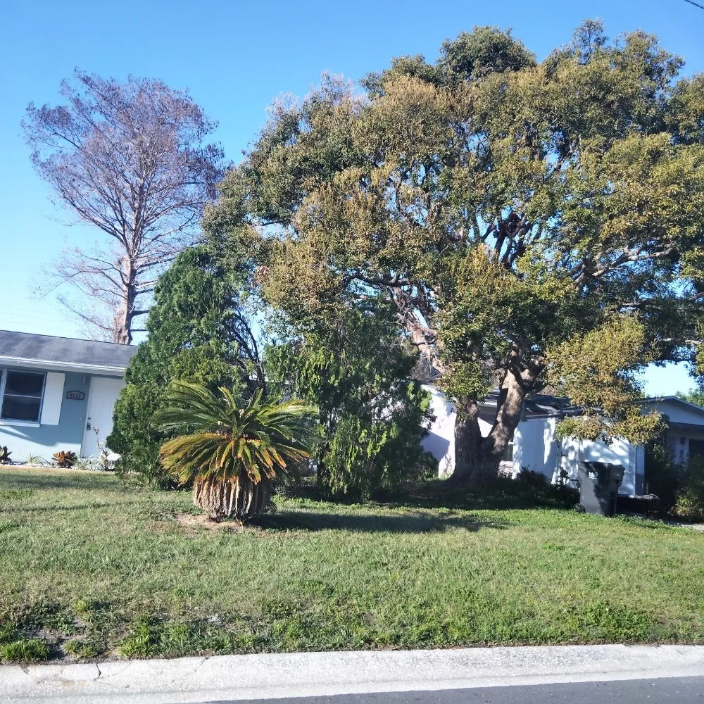 Expert outdoor landscaping in St. Petersburg, FL by Good Season Lawn Care