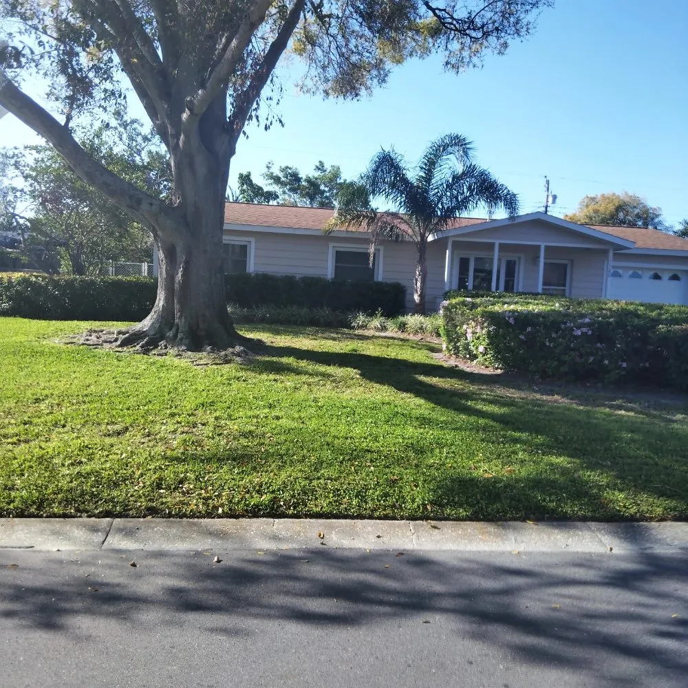 Expert landscape design for outdoor upgrades across St. Petersburg, FL - Good Season Lawn Care