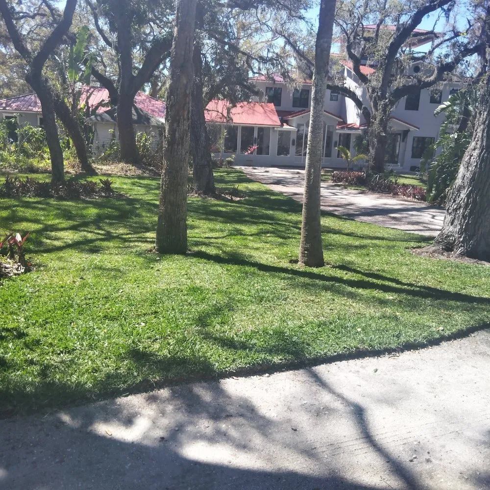 Professional landscape installation with custom design in St. Petersburg, FL by Good Season Lawn Care