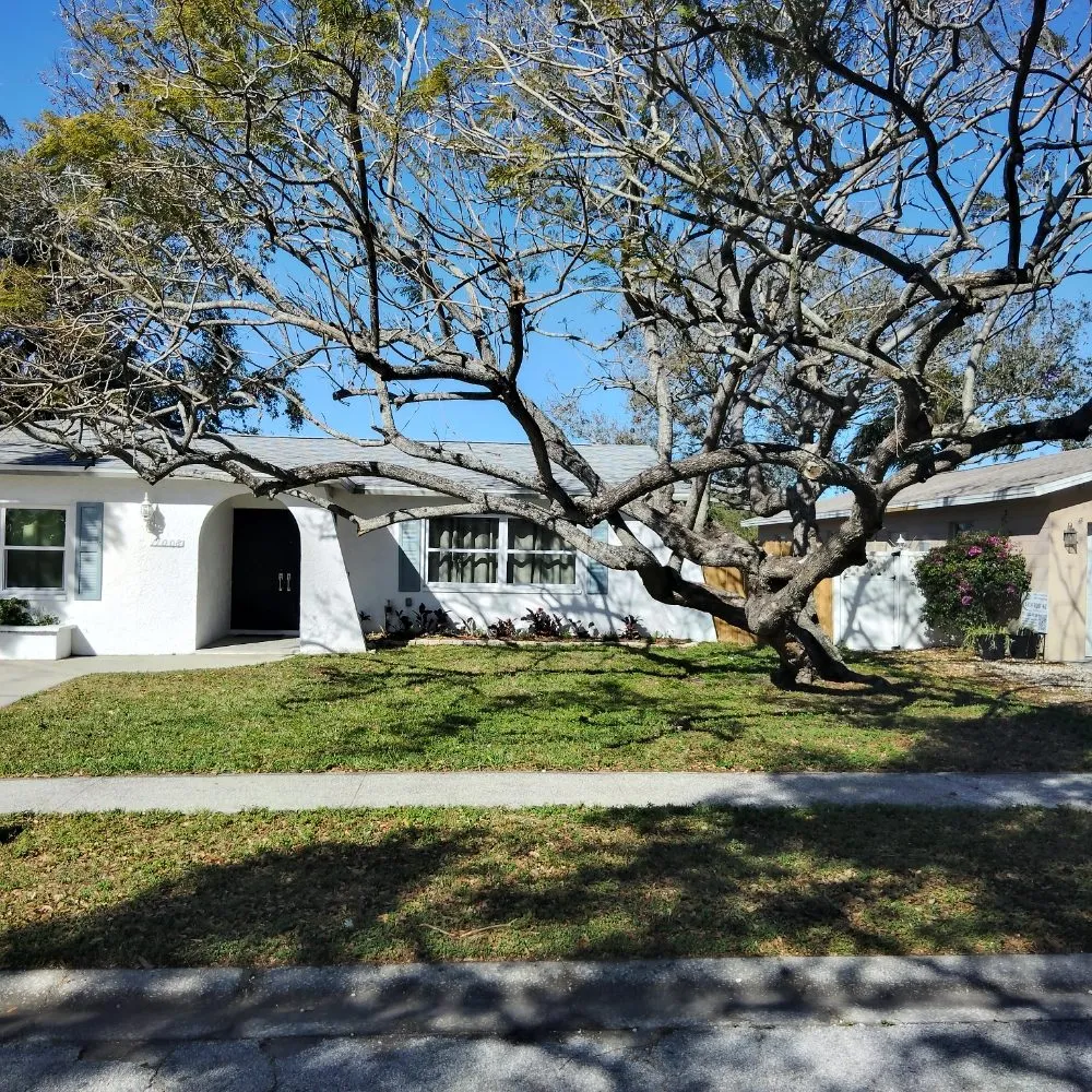 Trusted outdoor landscaping in St. Petersburg, FL by Good Season Lawn Care