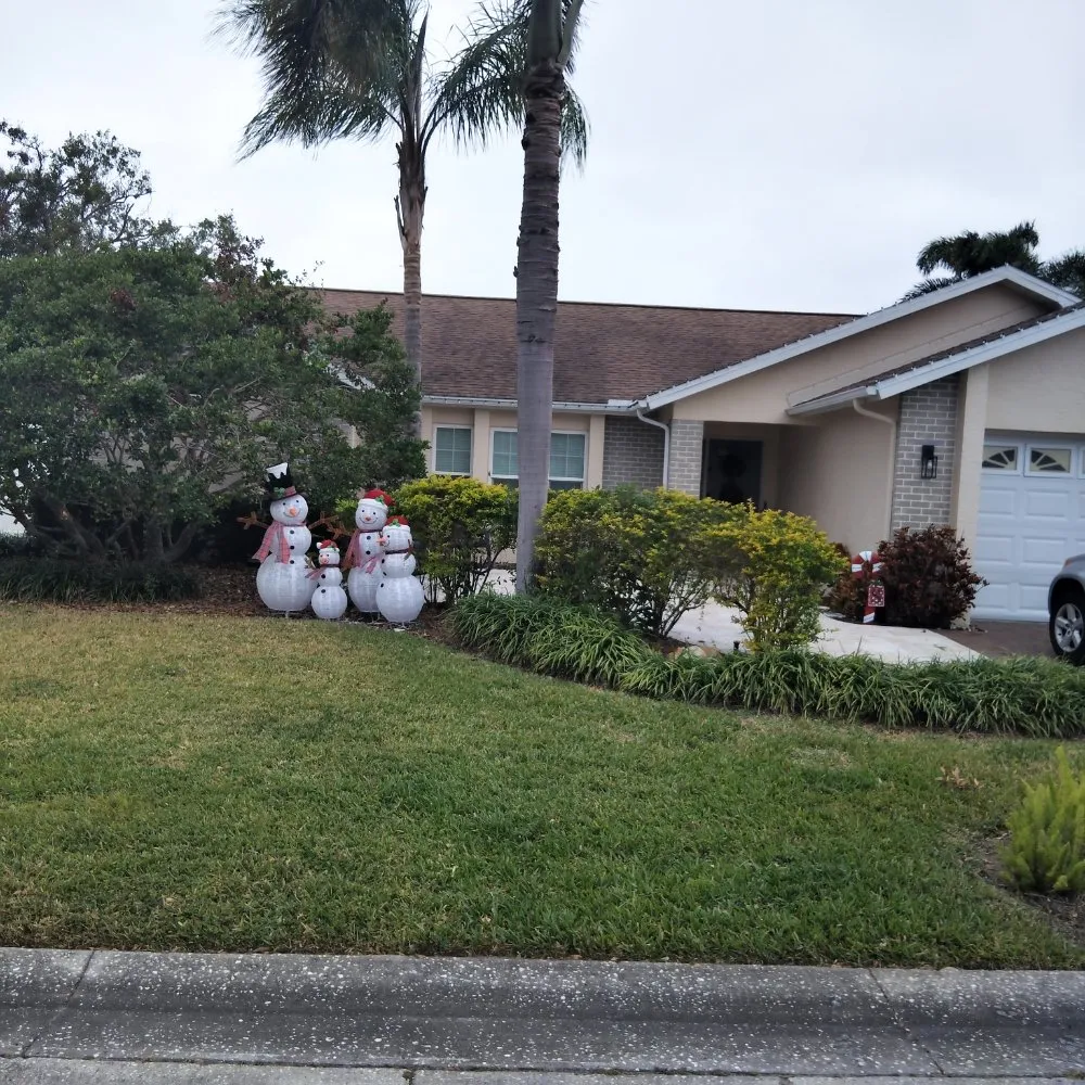 Professional yard cleanup service for year-round maintenance across St. Petersburg, FL - Good Season Lawn Care