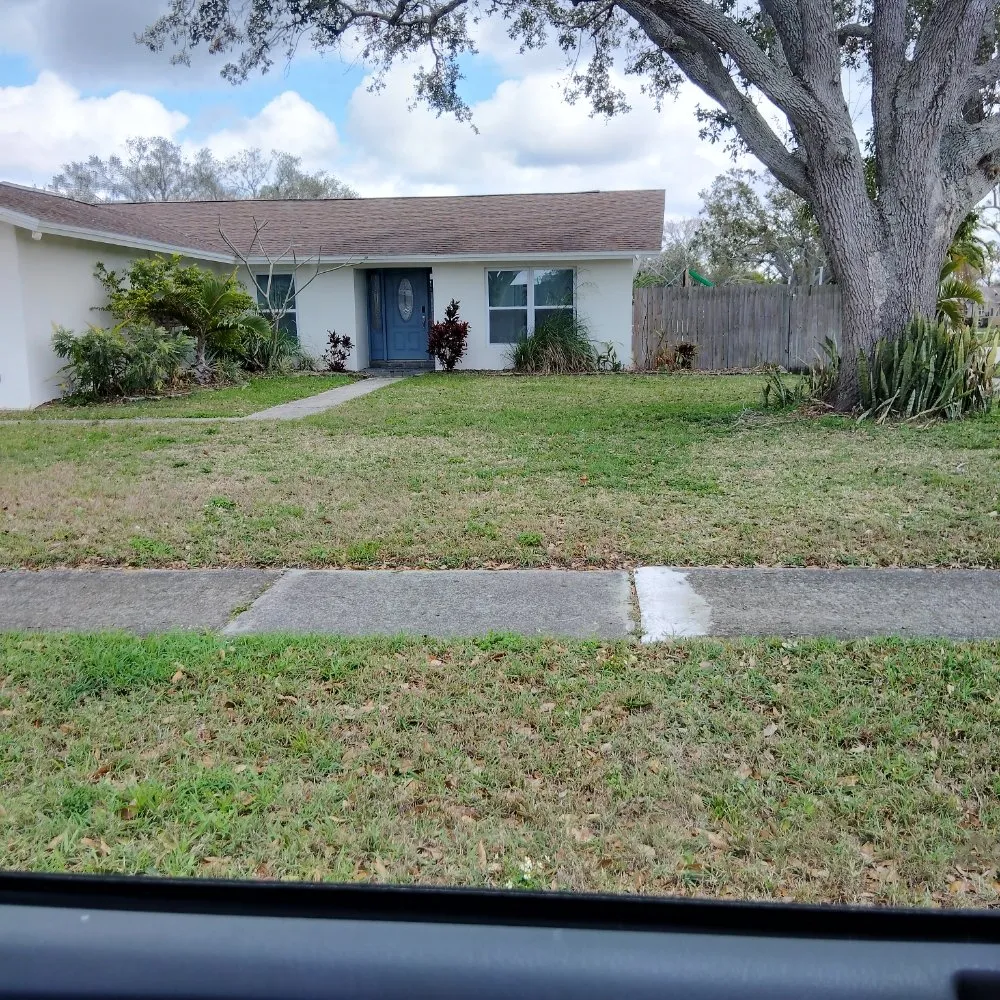 Expert landscape installation for beautiful yards across St. Petersburg, FL - Good Season Lawn Care