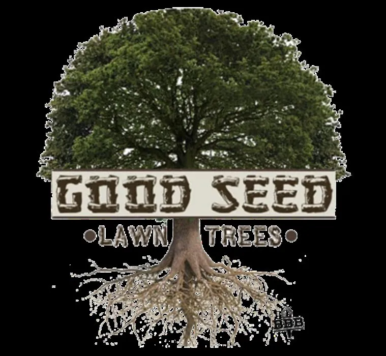 Expert lawn care service in Copperas Cove, TX by Good Seed Lawn & Trees