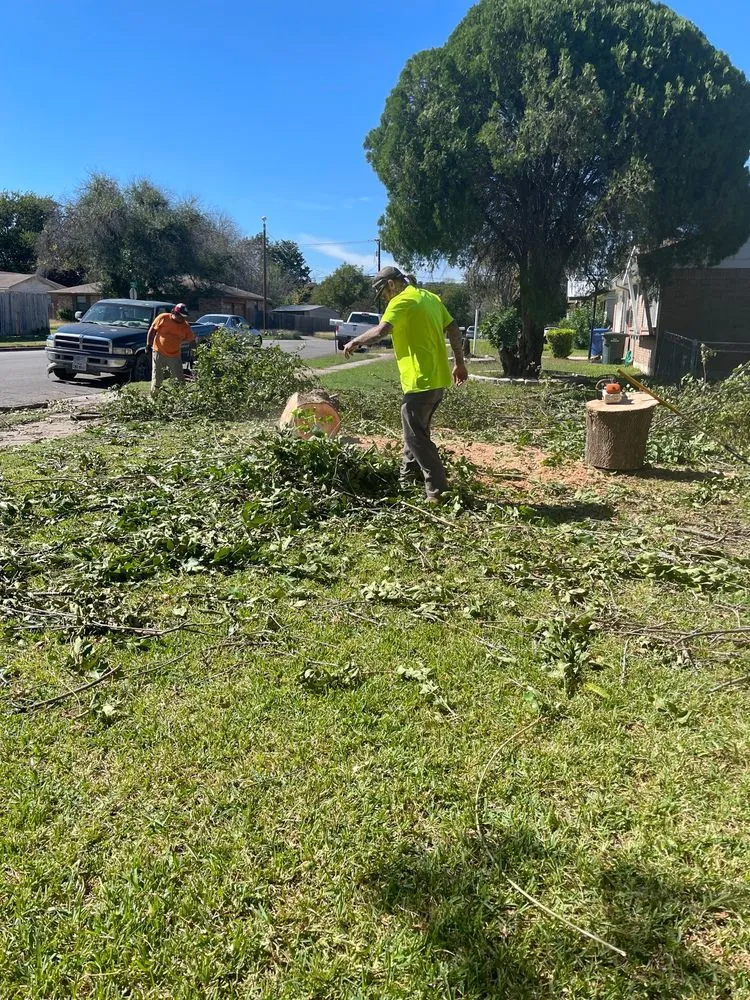 Expert lawn mowing service experts serving Copperas Cove, TX - Good Seed Lawn & Trees