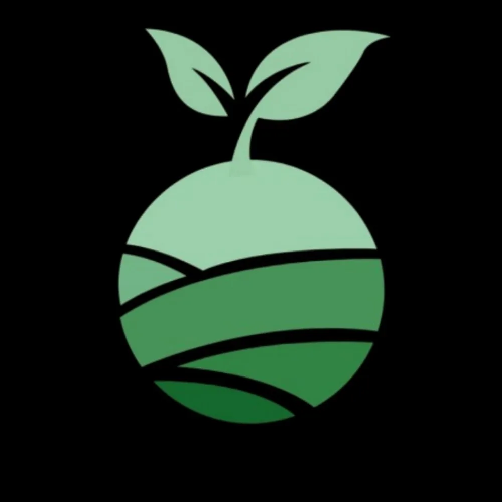 Expert lawn care service in Lumberton, TX by Good Seeds