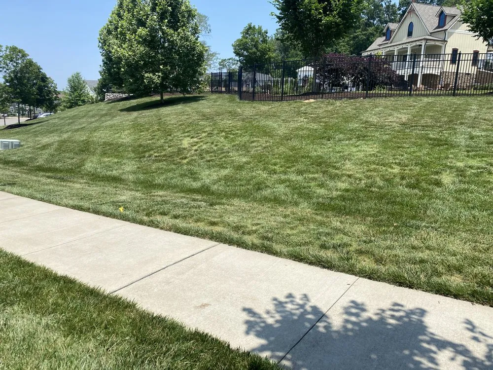 Top-rated landscape installation in Cross Plains, TN - Good Shepherd Landscaping