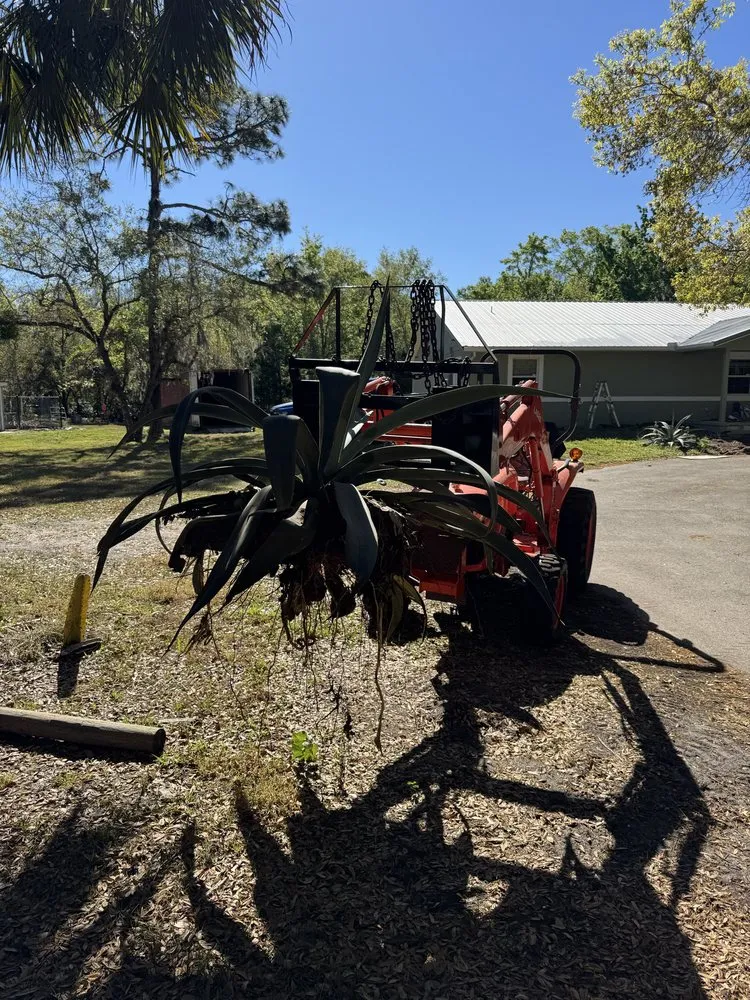 Reliable lawn mowing service for residential properties in Christmas, FL by Good Shepherd Landworks