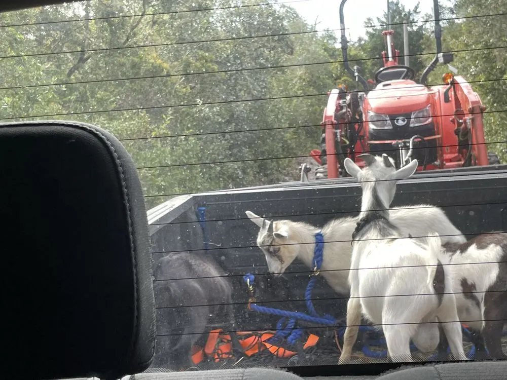 Professional landscape design for outdoor upgrades in Christmas, FL by Good Shepherd Landworks