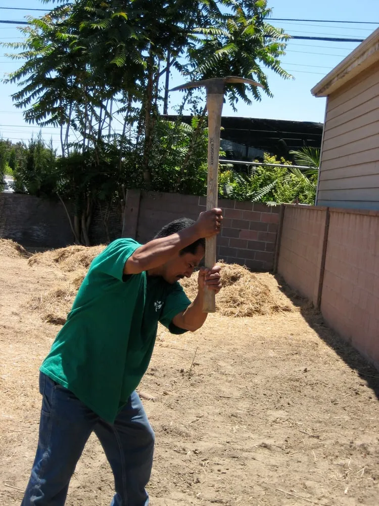 Reliable landscape design for beautiful yards across Bellflower, CA - Good Soil Industries