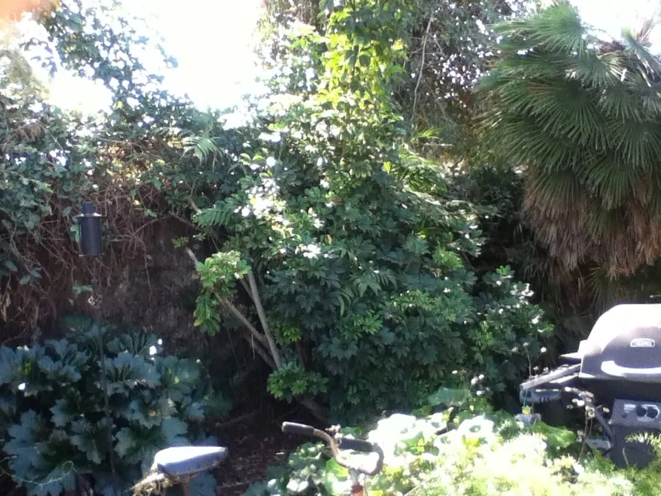 Trusted landscape design in Bellflower, CA by Good Soil Industries