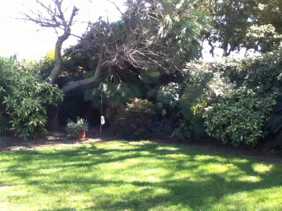 Top-rated landscaping services for beautiful yards in Bellflower, CA by Good Soil Industries