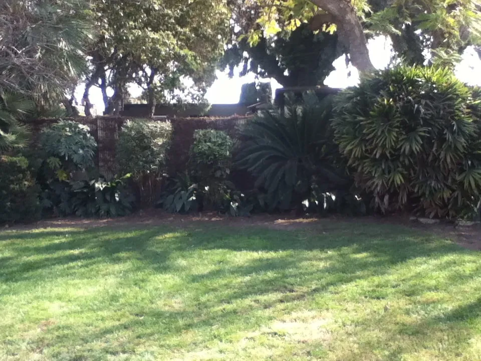 Local garden landscaping for homes across Bellflower, CA - Good Soil Industries