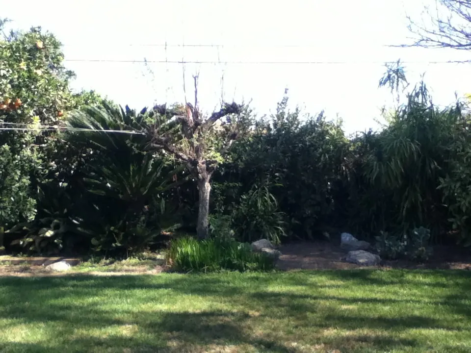 Professional landscaping services in Bellflower, CA by Good Soil Industries