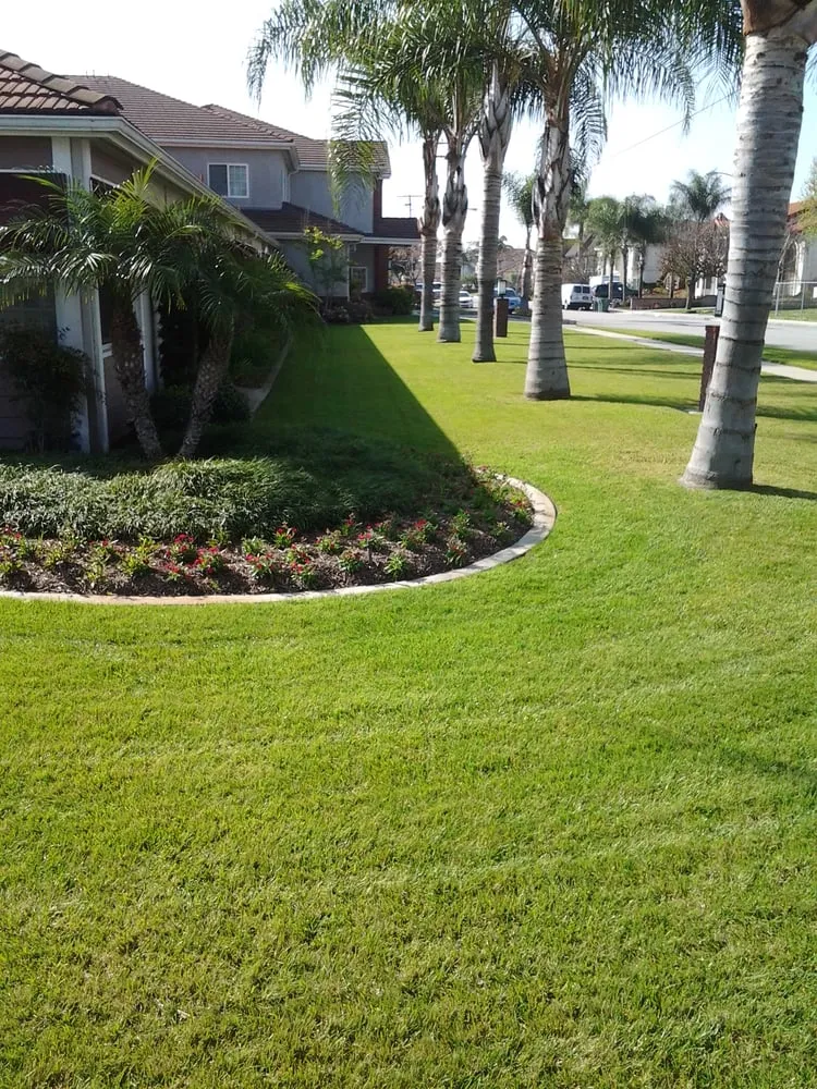 Top-rated lawn care service in Bellflower, CA - Good Soil Industries