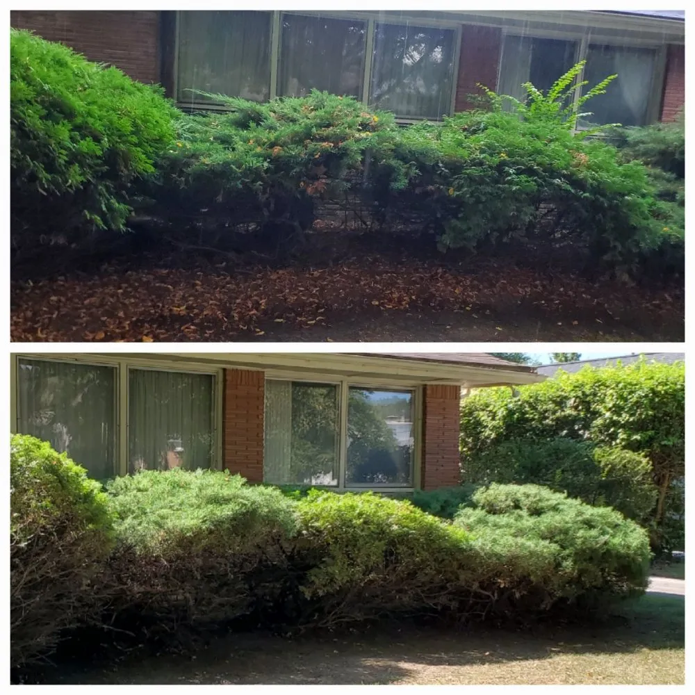 Top-rated yard maintenance for residential properties in Auburn Hills, MI by Good Soil Landscaping