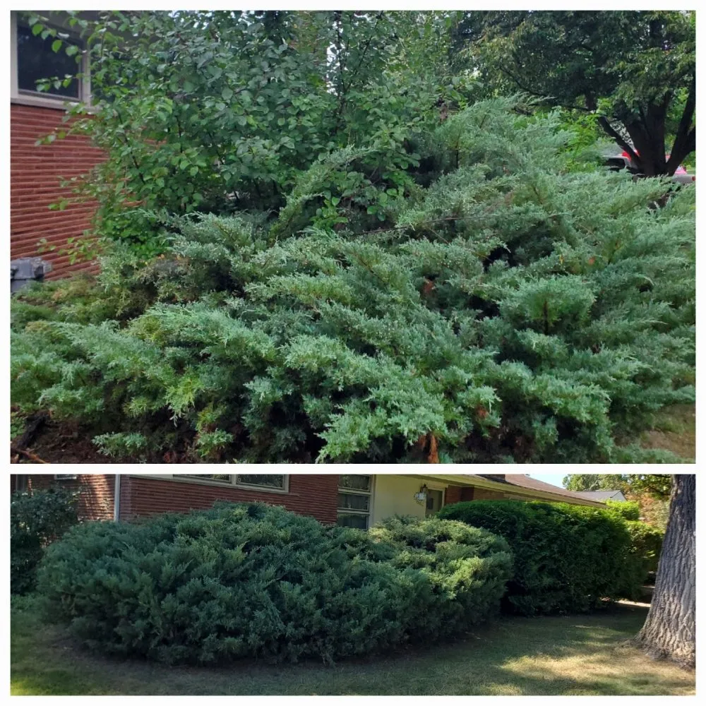 Top-rated garden landscaping in Auburn Hills, MI - Good Soil Landscaping