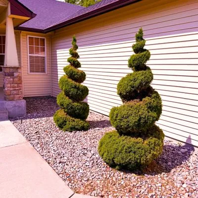 Good Soil Lawn Care & Maintenance Logo