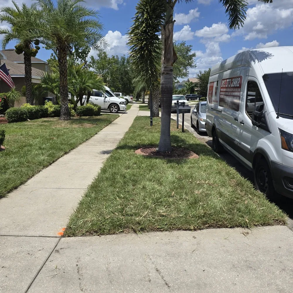 Local yard cleanup service with custom design across Tampa Bay, FL - Good soil sod and landscape