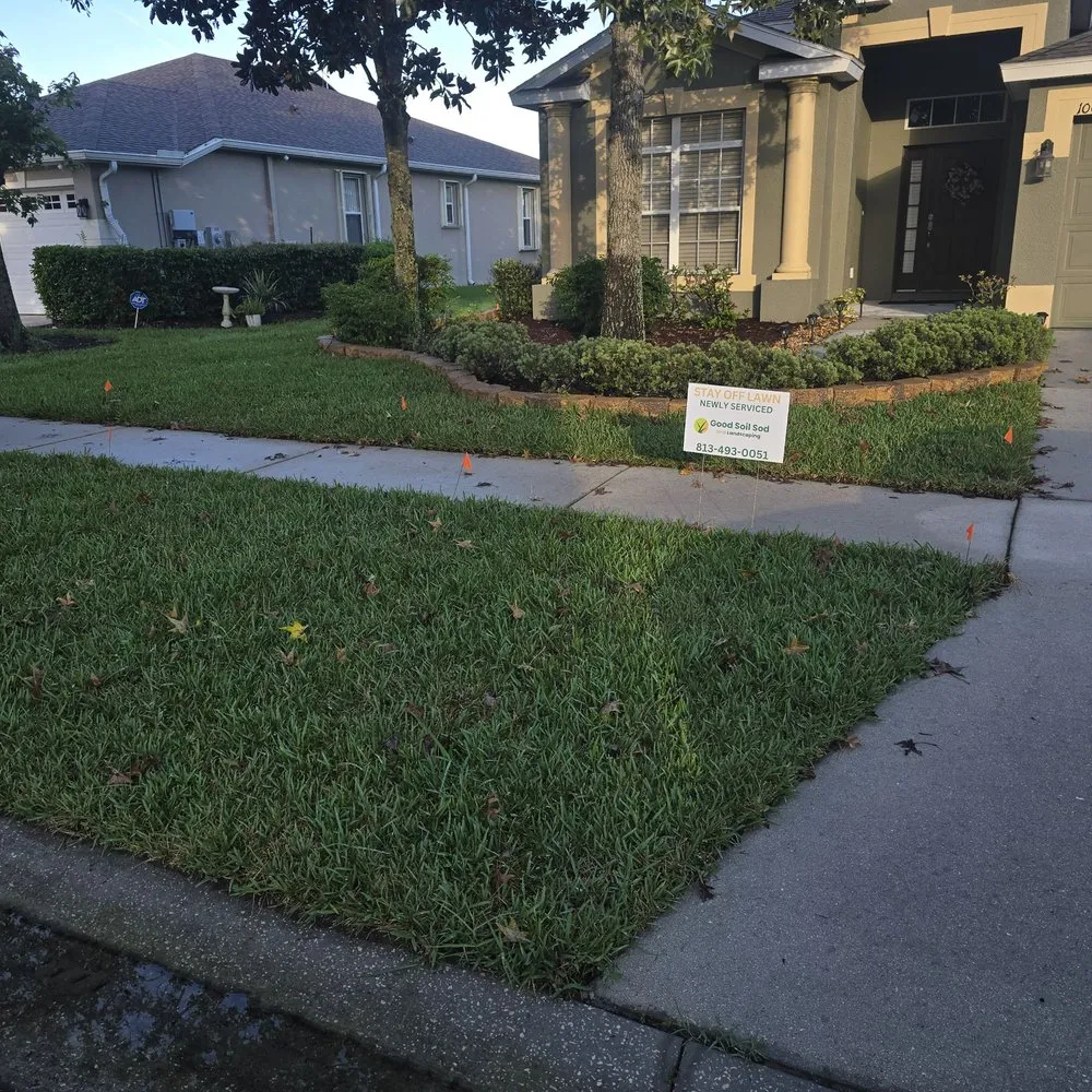 Affordable landscape installation in Tampa Bay, FL by Good soil sod and landscape