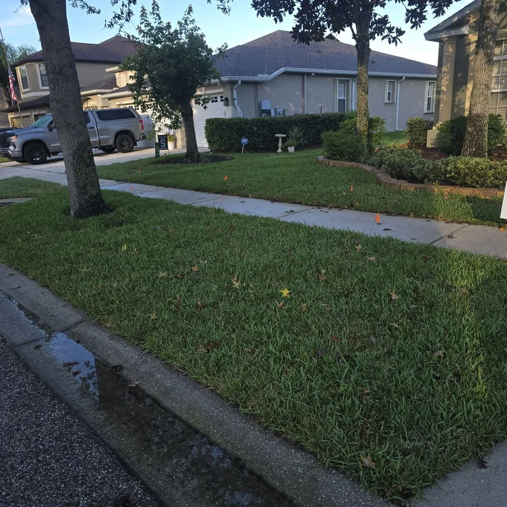 Custom lawn mowing service in Tampa Bay, FL by Good soil sod and landscape