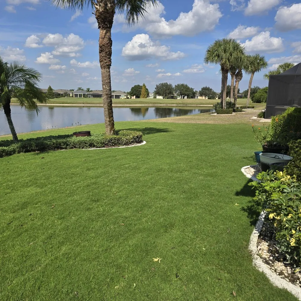 Reliable yard cleanup service for beautiful yards across Tampa Bay, FL - Good soil sod and landscape