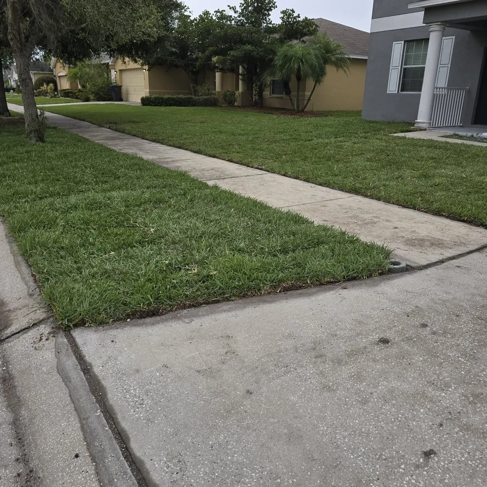 Expert landscaping services for year-round maintenance across Tampa Bay, FL - Good soil sod and landscape