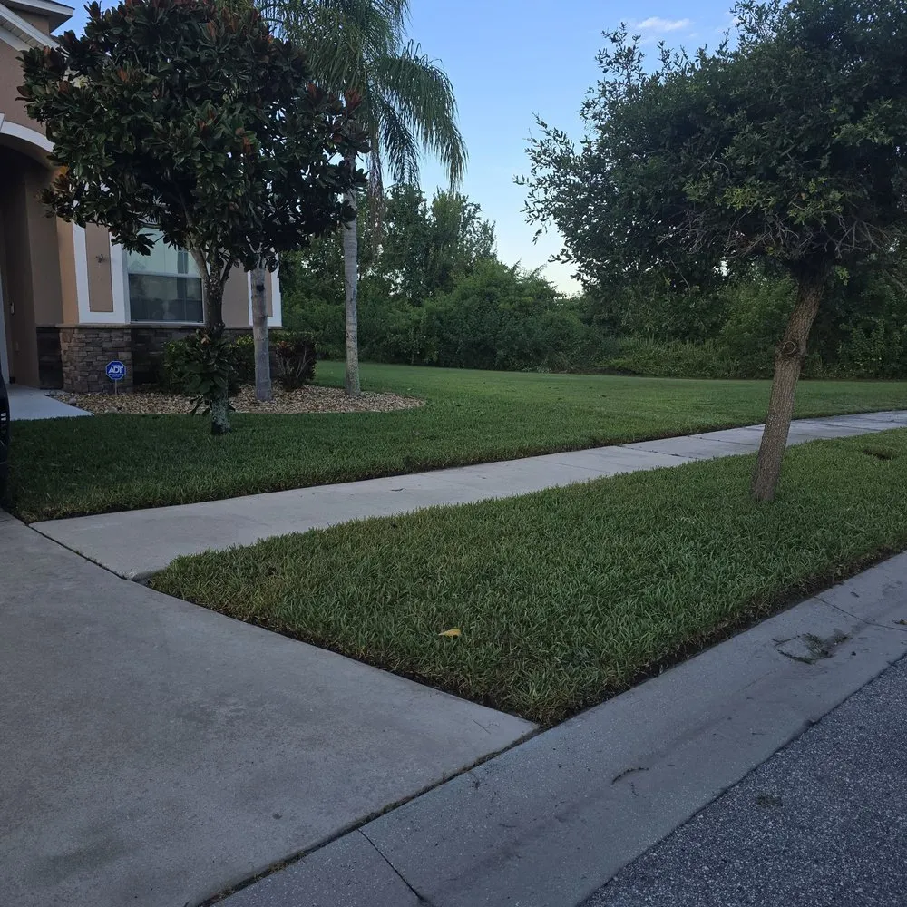 Custom landscape installation for residential properties in Tampa Bay, FL by Good soil sod and landscape