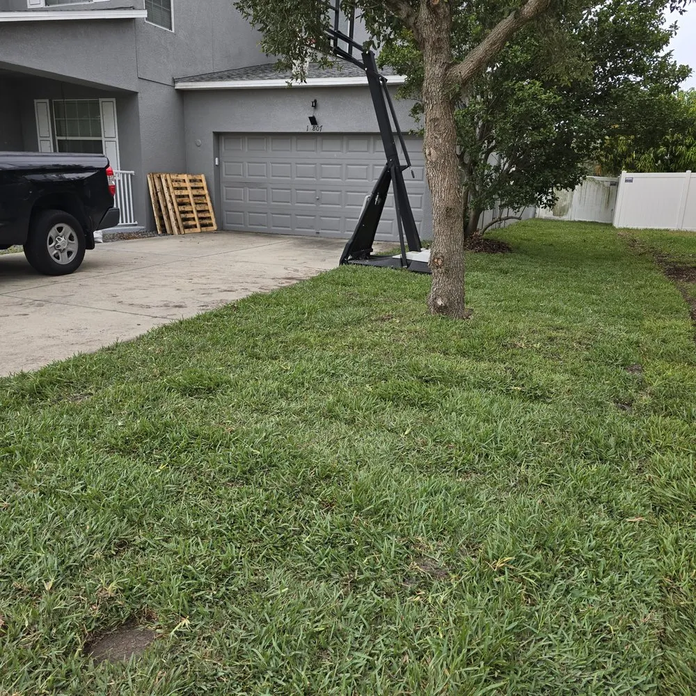 Reliable yard maintenance with custom design in Tampa Bay, FL by Good soil sod and landscape
