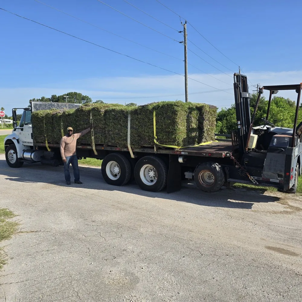 Affordable landscaping services experts serving Tampa Bay, FL - Good soil sod and landscape