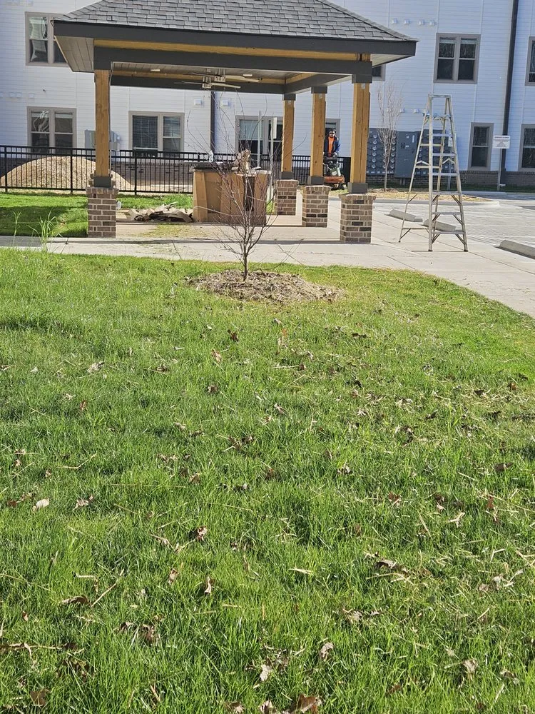 Expert landscape design in Raleigh, NC by Good Son Residential Commercial Services