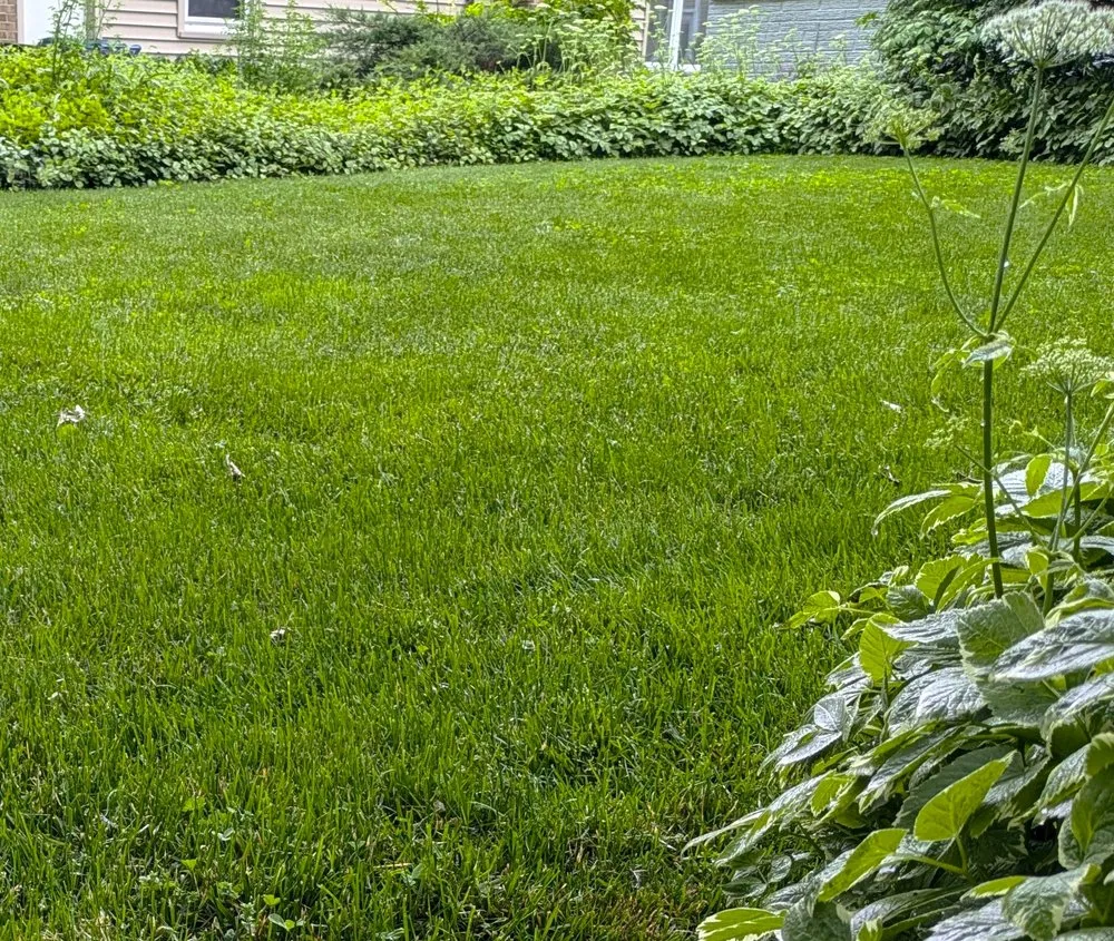 Expert outdoor landscaping in Zeeland, MI - Good Sweet Earth