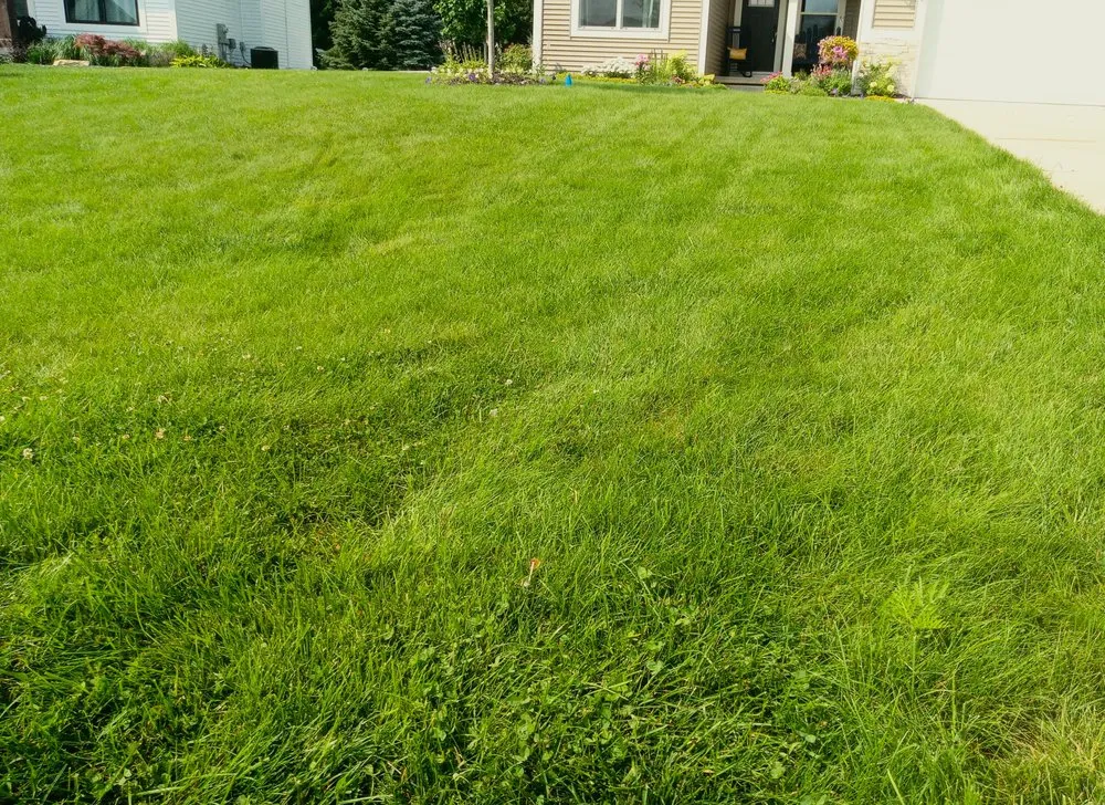 Reliable yard maintenance for residential properties across Zeeland, MI - Good Sweet Earth
