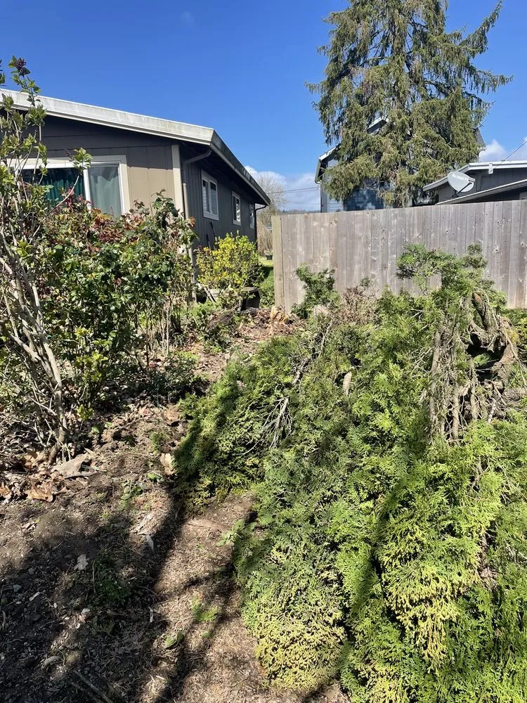 Expert yard maintenance in Tualatin, OR by Good Thyme Landscapes