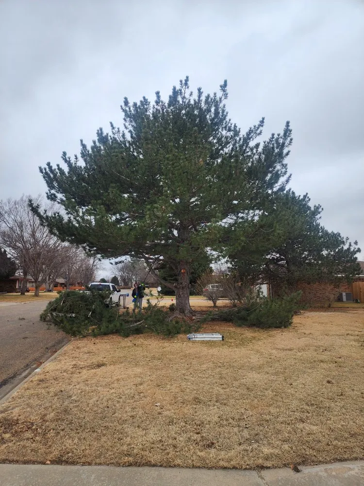 Expert residential landscaping experts serving Amarillo, TX - Good Time Gardners Landscaping