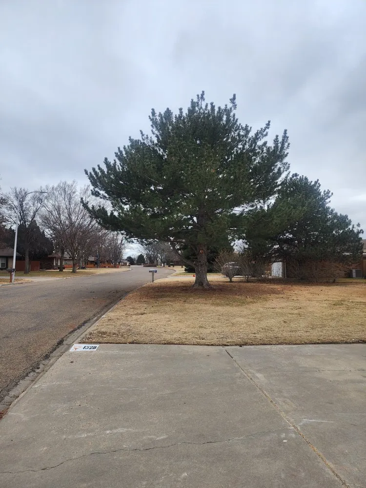 Reliable yard maintenance experts serving Amarillo, TX - Good Time Gardners Landscaping