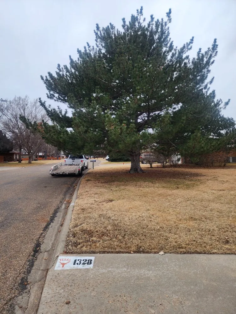 Reliable yard cleanup service in Amarillo, TX - Good Time Gardners Landscaping