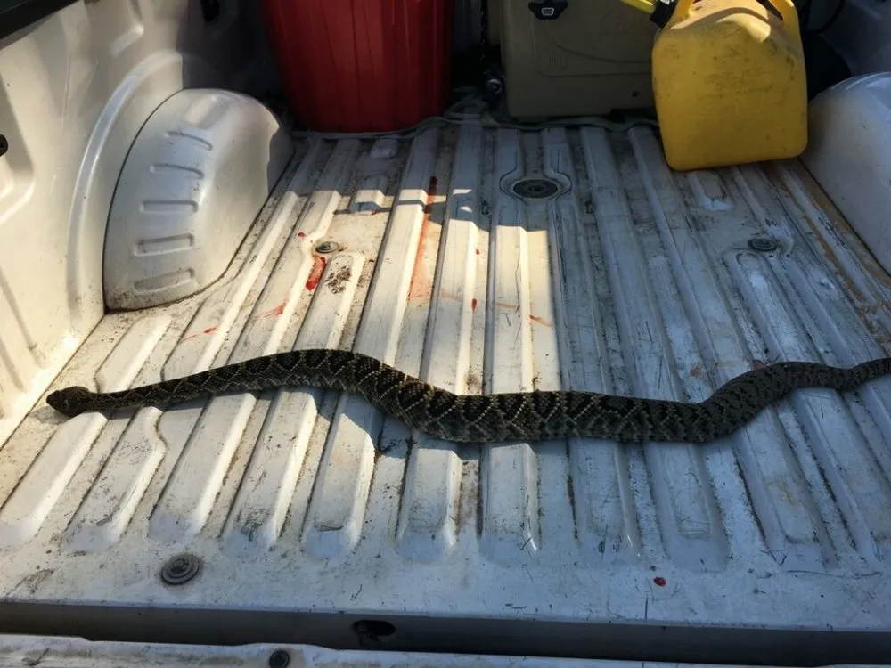 Reliable landscaping services with custom design across Quincy, FL - Good To Go Property Service