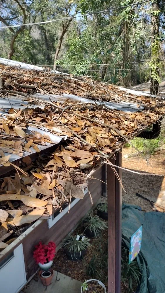 Professional outdoor landscaping experts serving Quincy, FL - Good To Go Property Service