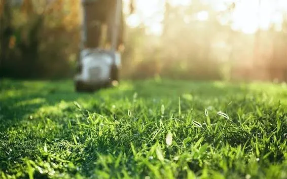 Expert yard maintenance experts serving Lewistown, PA - Good To Grow Lawn Care