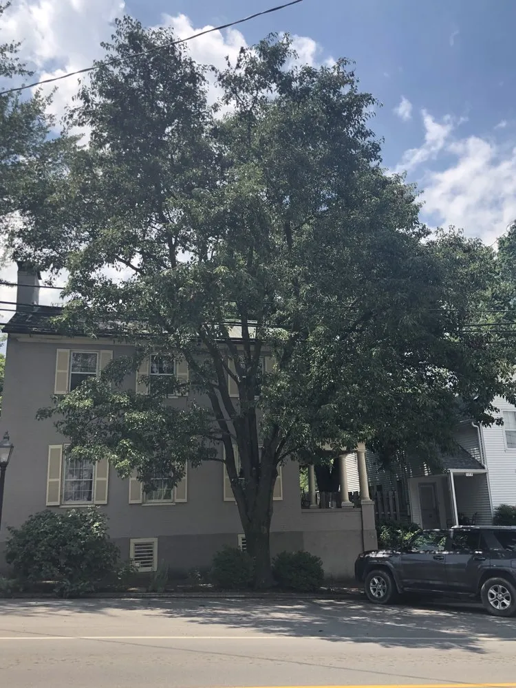 Reliable landscape design for residential properties across Georgetown, KY - Good Tree Stewards