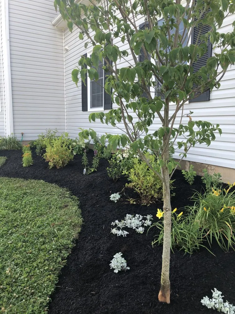 Local residential landscaping experts serving Georgetown, KY - Good Tree Stewards
