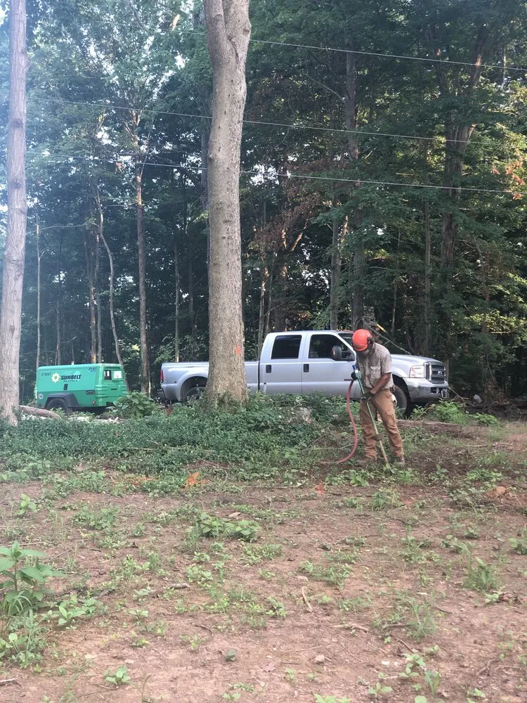 Affordable landscaping services with custom design across Georgetown, KY - Good Tree Stewards