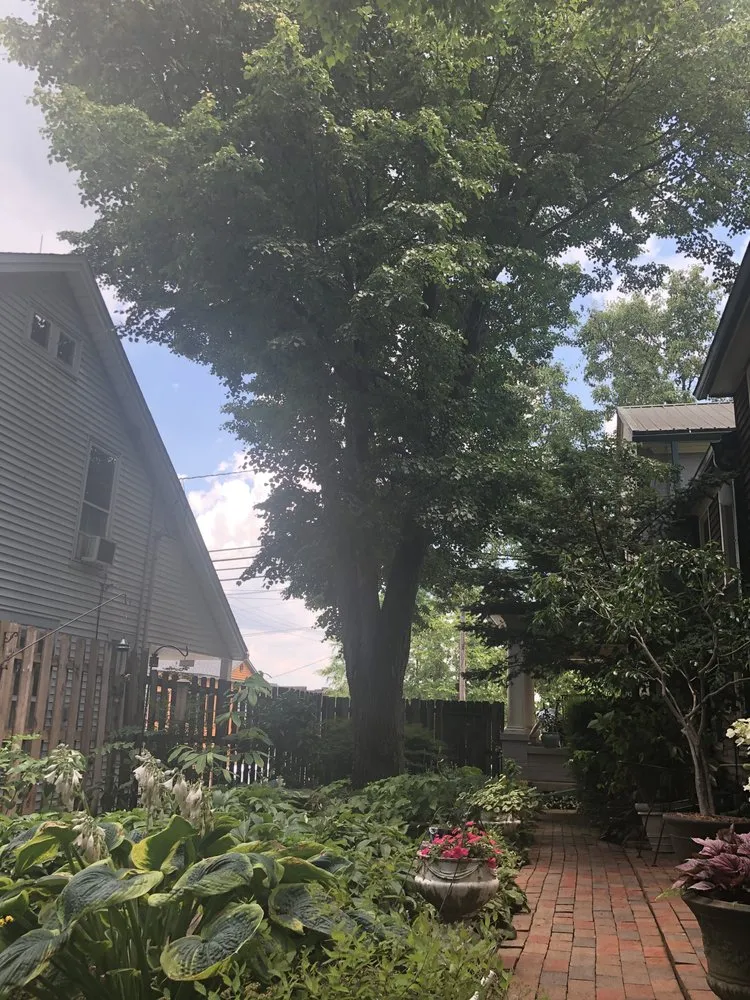 Top-rated landscape design in Georgetown, KY - Good Tree Stewards